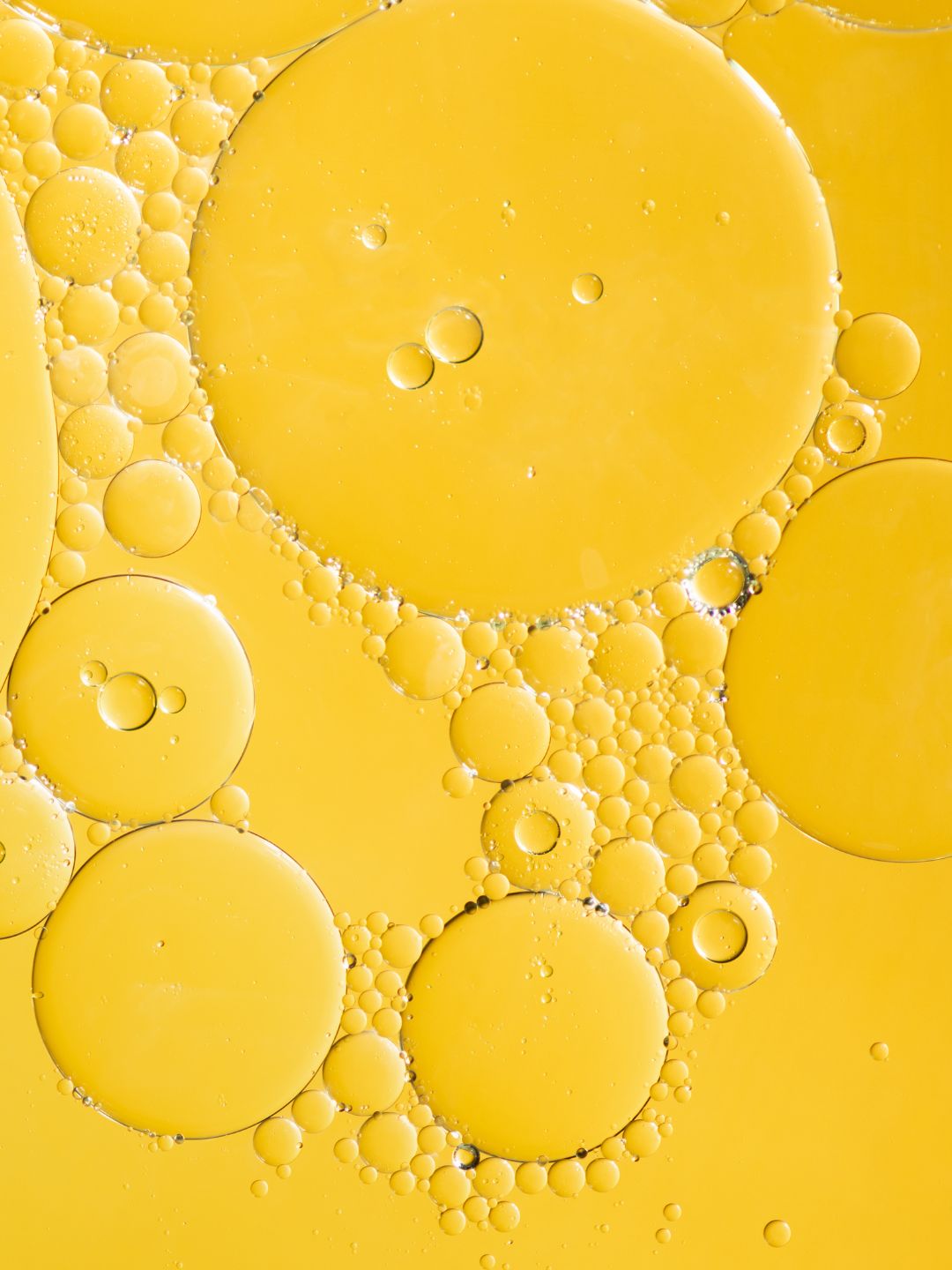 close-up of echium seed oil in Hydrosil Dry eye Concealer for dry, red, irritated areas around the eyes