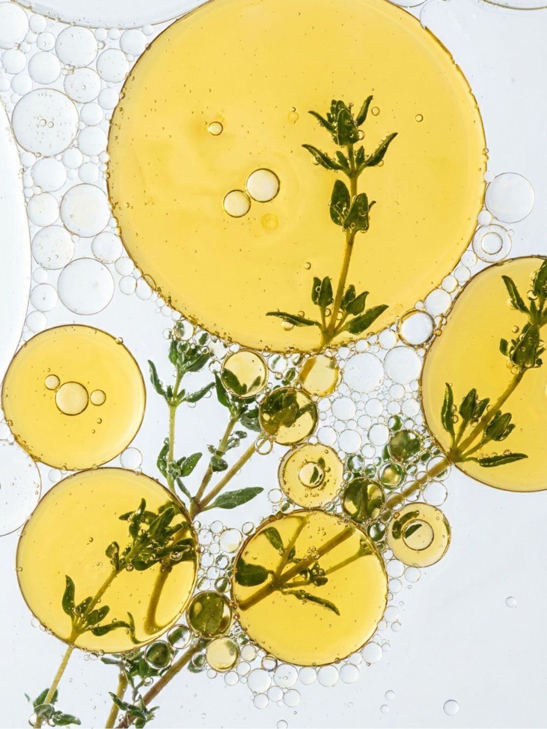 Thyme oil (Thymus Vulgaris), golden oil droplets shown with fresh thyme sprigs
