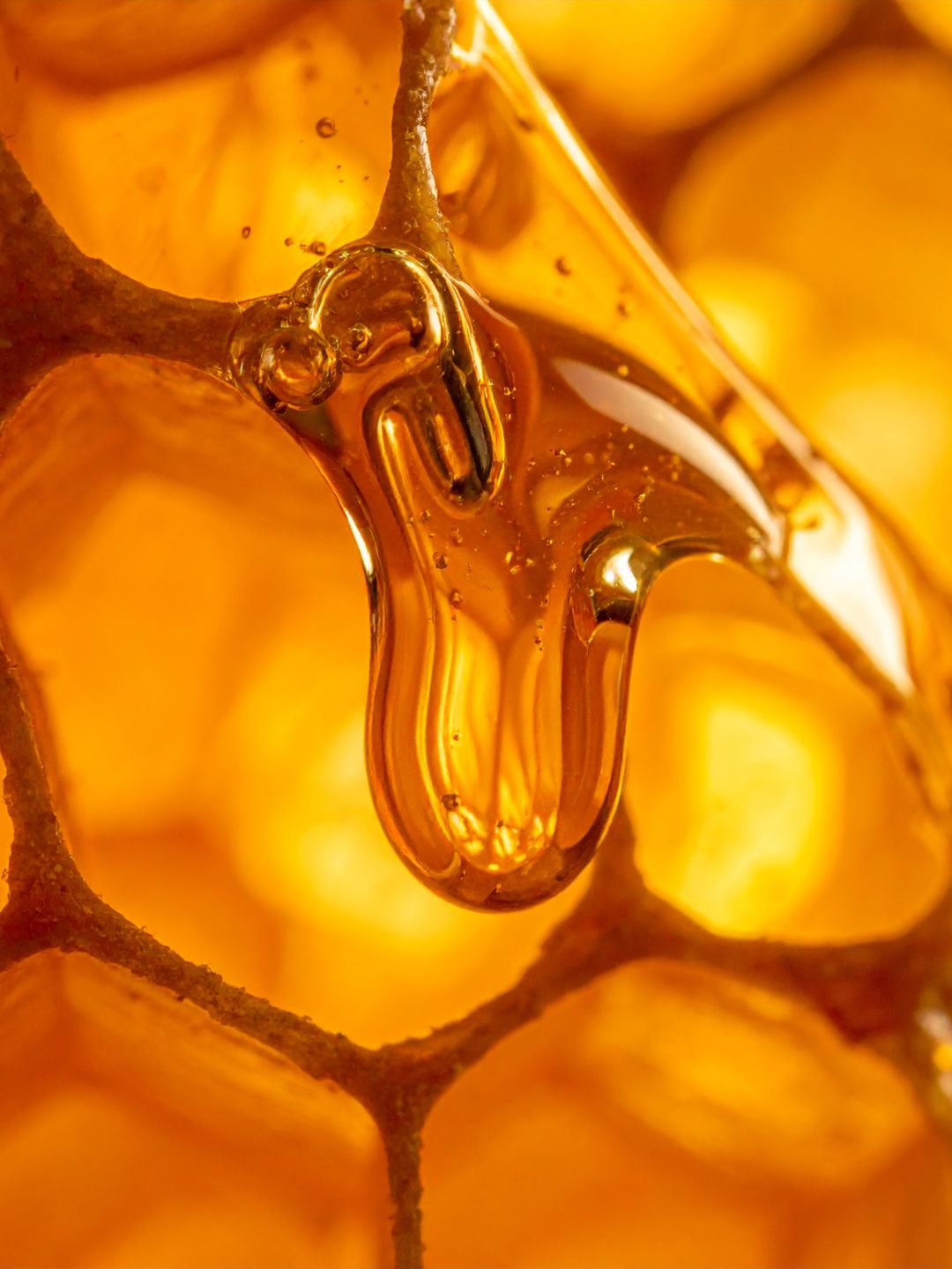Honey (Mel), golden honey dripping over a honeycomb