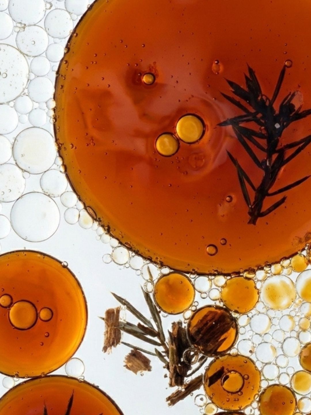 Juniper tar (Juniperus Oxycedrus, cade), an amber oil shown with juniper sprigs and bubbles