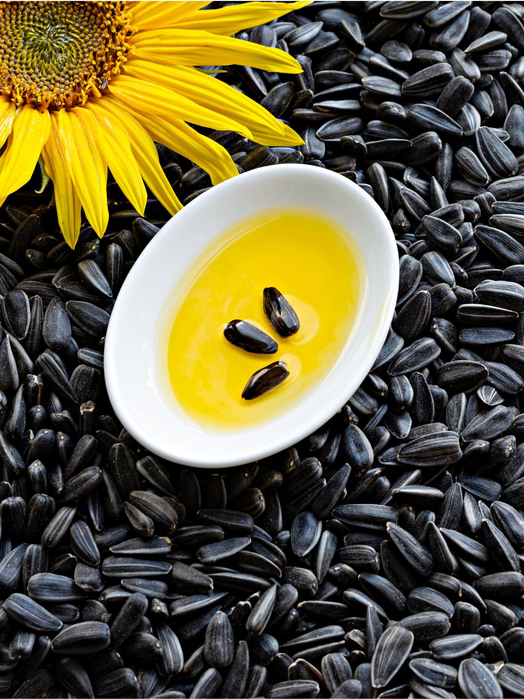 Sunflower seed oil and Vitamin E with sunflower and seeds, nourishing actives that soften dry, reactive skin