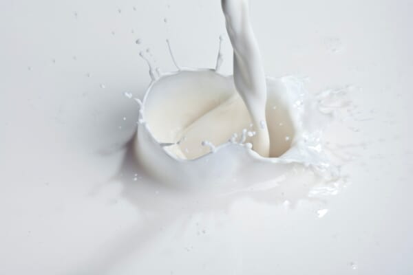 New study finds Donkey Milk is effective Natural Treatment for Eczema