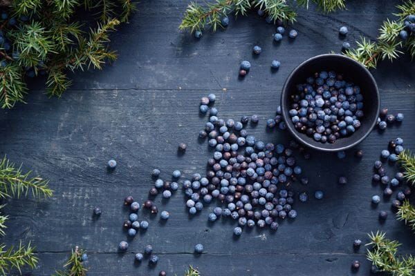 New study finds juniper extract in scalp psoriasis shampoo speeds up wound healing