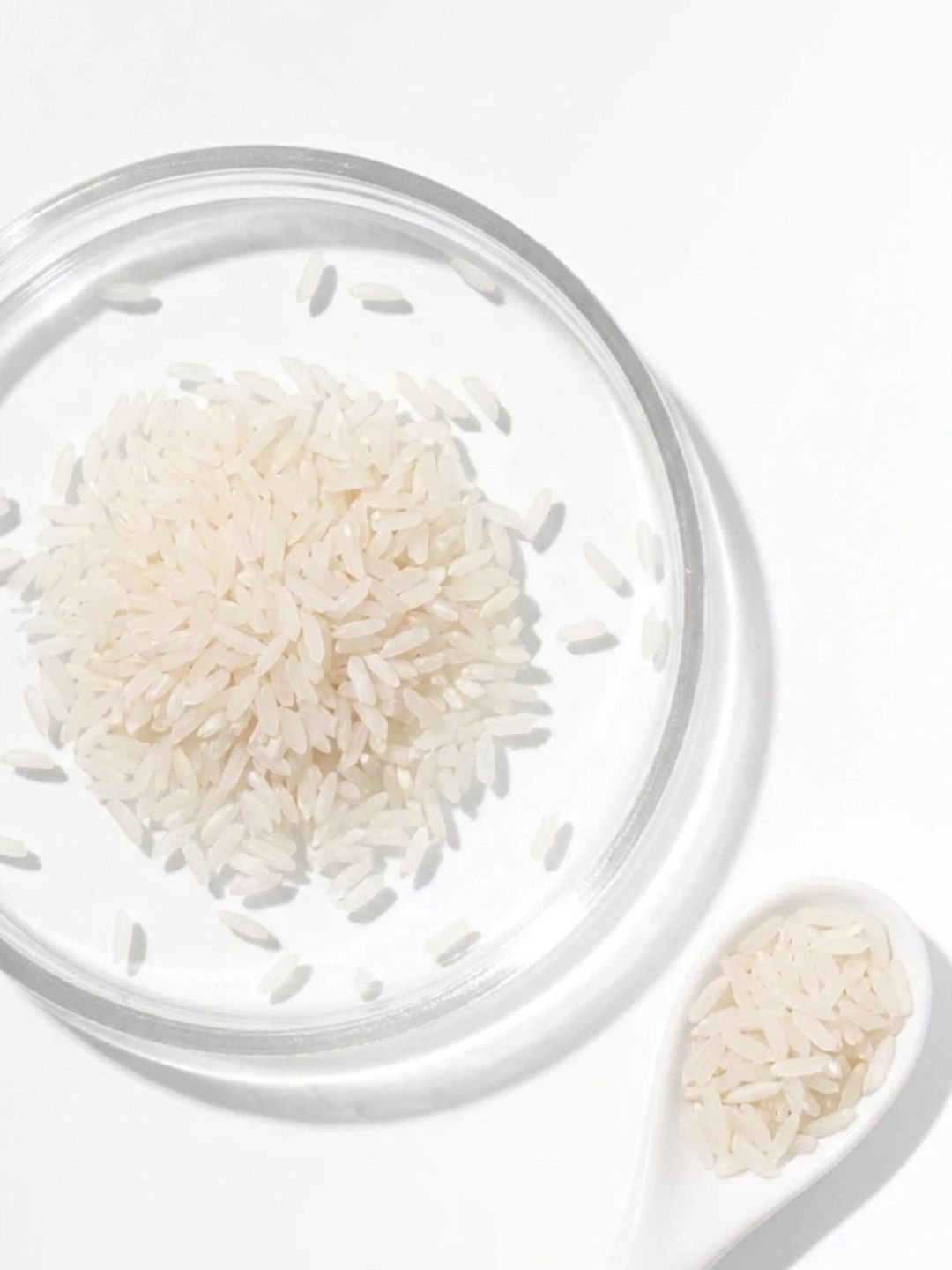 close-up of rice representing the rice protein active ingredient in Hydrosil