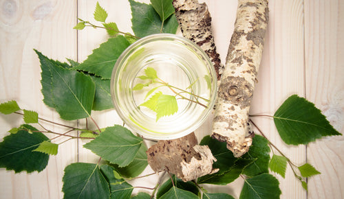 birch-sap-in-glass_1.jpg